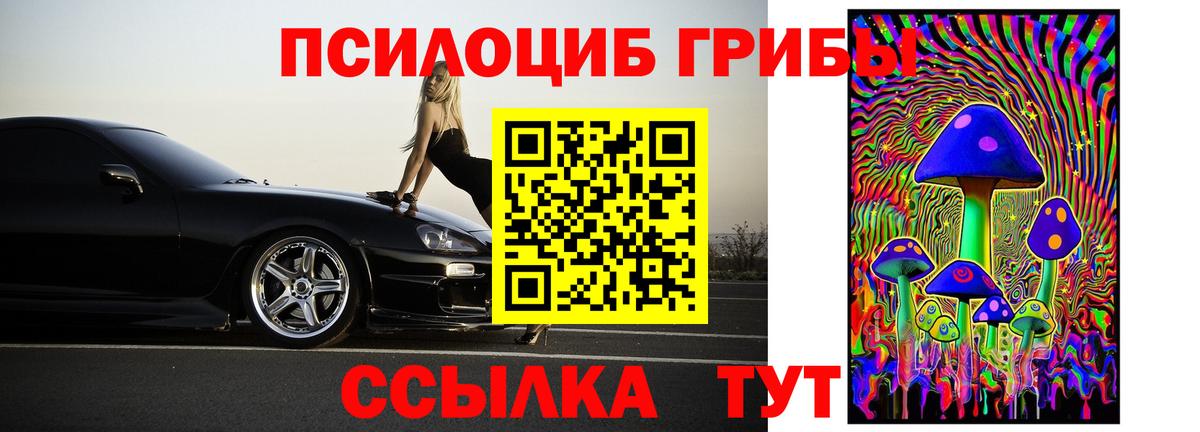 Камень-на-Оби  Галлюциногенные грибы Psilocybe  Вход с VPN 