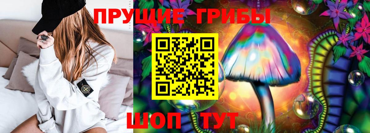 Галлюциногенные грибы мухоморы Камень-на-Оби